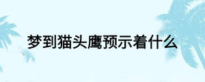 /nameask/23993.html