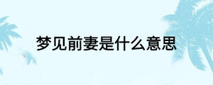 梦见前妻是什么意思