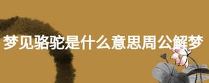 /nameask/24137.html