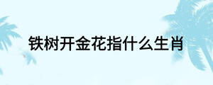 /nameask/24141.html