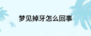 /nameask/24111.html