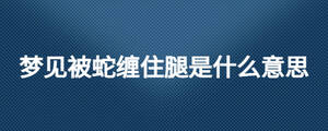/nameask/24098.html