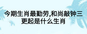 今期生肖最勤劳,和尚敲钟三更起是什么生肖