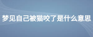 /nameask/24169.html