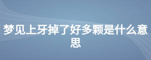/nameask/24178.html
