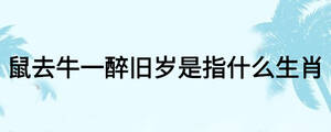 鼠去牛一醉旧岁是指什么生肖