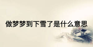做梦梦到下雪了是什么意思