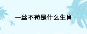 一丝不苟是什么生肖