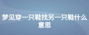 梦见穿一只鞋找另一只鞋什么意思