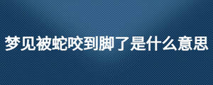 梦见被蛇咬到脚了是什么意思