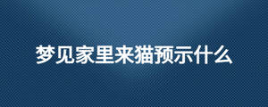 梦见家里来猫预示什么