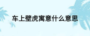 车上壁虎寓意什么意思