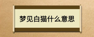 梦见白猫什么意思