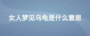 女人梦见乌龟是什么意思