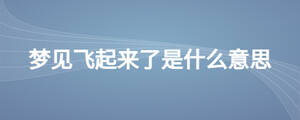 /nameask/24361.html