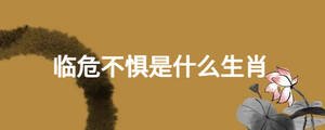 临危不惧是什么生肖