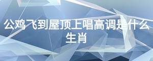 公鸡飞到屋顶上唱高调是什么生肖