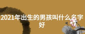 2021年出生的男孩叫什么名字好