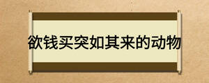欲钱买突如其来的动物