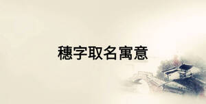 /nameask/24541.html