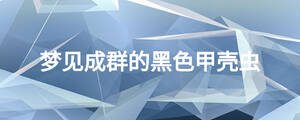 /nameask/24573.html
