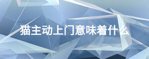 /nameask/24580.html
