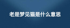 /nameask/24556.html