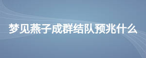 /nameask/24557.html