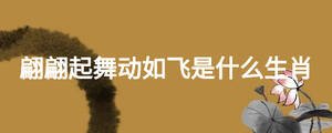 翩翩起舞动如飞是什么生肖