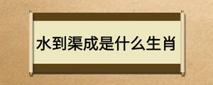 /nameask/24593.html