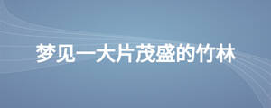 /nameask/24560.html