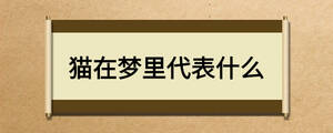 /nameask/24601.html