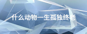 什么动物一生孤独终老