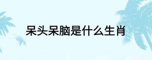 呆头呆脑是什么生肖