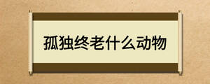 孤独终老什么动物