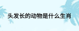 头发长的动物是什么生肖