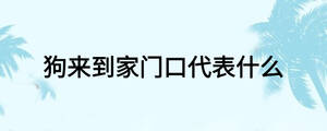 狗来到家门口代表什么