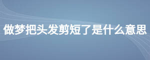 /nameask/24628.html