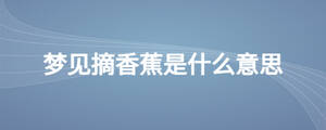 /nameask/24640.html