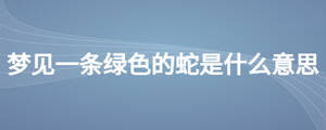 /nameask/24727.html