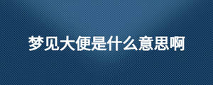 梦见大便是什么意思啊