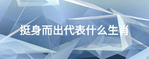 挺身而出代表什么生肖