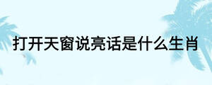 打开天窗说亮话是什么生肖