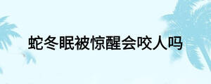 蛇冬眠被惊醒会咬人吗