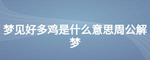 梦见好多鸡是什么意思周公解梦