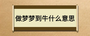 /nameask/24937.html