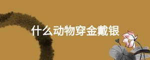 /nameask/24896.html