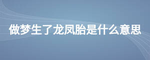 /nameask/24903.html