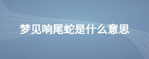 梦见响尾蛇是什么意思