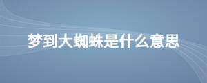 梦到大蜘蛛是什么意思